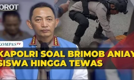 Tragedi Brimob Di Tual, Kronologi Kejadian Dan Hilangnya Nyawa