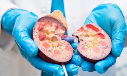 Transplantasi Ginjal Dan Hambatan Sistem Donor Di Indonesia