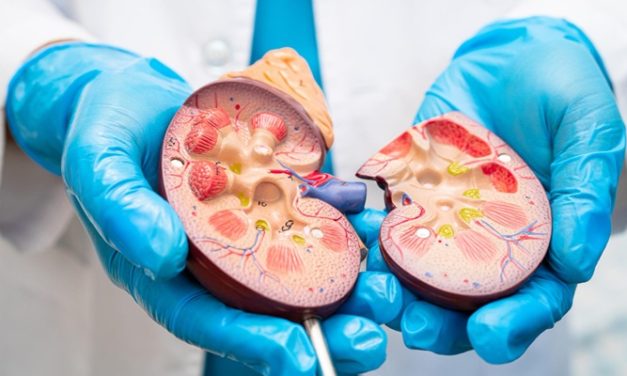 Transplantasi Ginjal Dan Hambatan Sistem Donor Di Indonesia