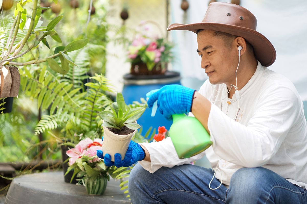 Berbagai Manfaat 