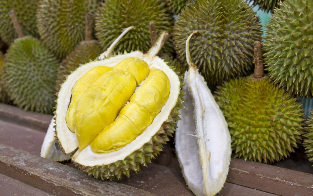 Durian Montong Miliki Rasa Yang Sangat Enak! Yuk Cobain!