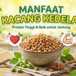 Kandungan Gizi Kedelai Yang Menjadikannya Superfood Alami