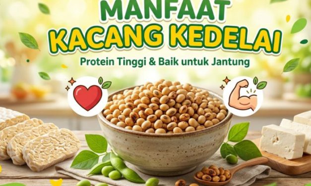 Kandungan Gizi Kedelai Yang Menjadikannya Superfood Alami