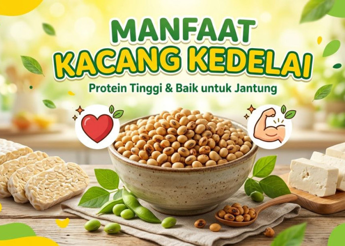 Kandungan Gizi Kedelai Yang Menjadikannya Superfood Alami