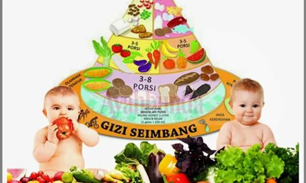 Menu Makanan Bergizi Seimbang Mendukung Tumbuh Kembang