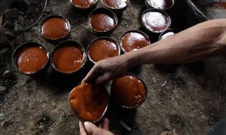 Potensi Industri Gula Aren Sebagai Produk Unggulan Daerah