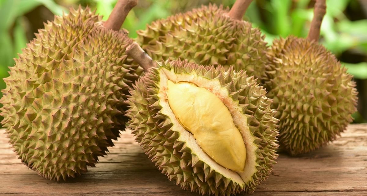 Durian Dalam Kuliner: Resep Olahan Yang Lezat Dan Kreatif