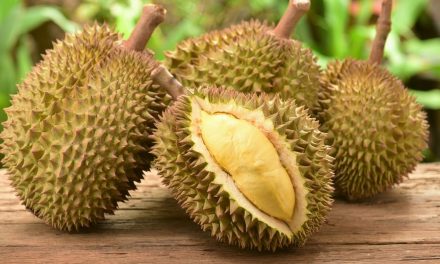 Durian Dalam Kuliner: Resep Olahan Yang Lezat Dan Kreatif