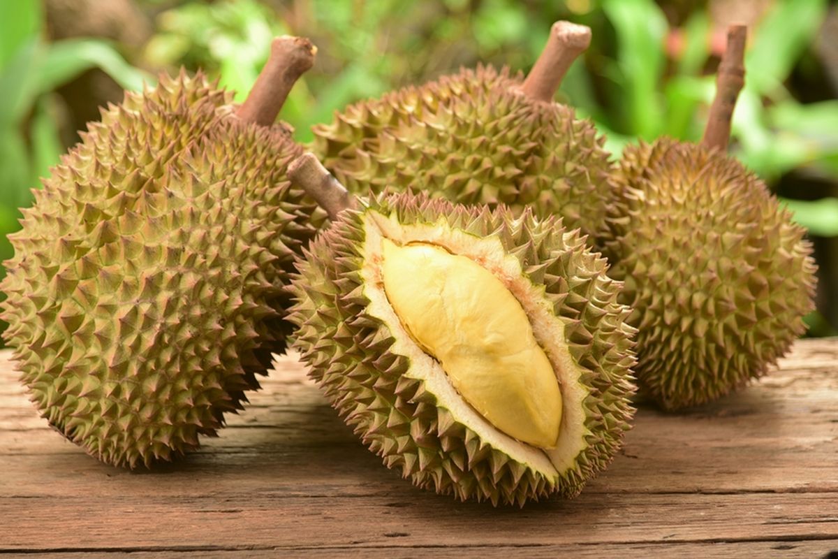 Durian Dalam Kuliner