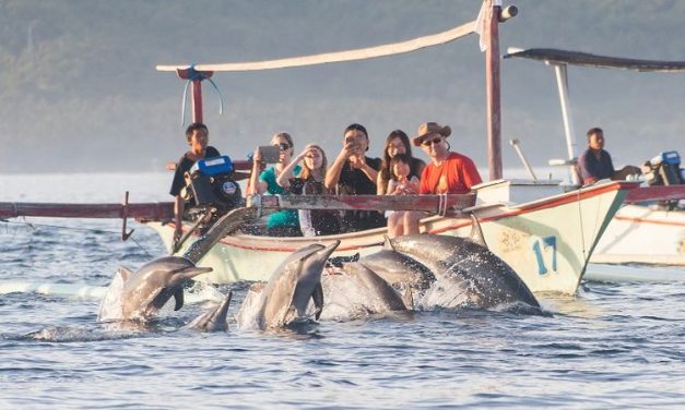 Pantai Lovina Menawarkan Keindahan Alam Yang Menakjubkan